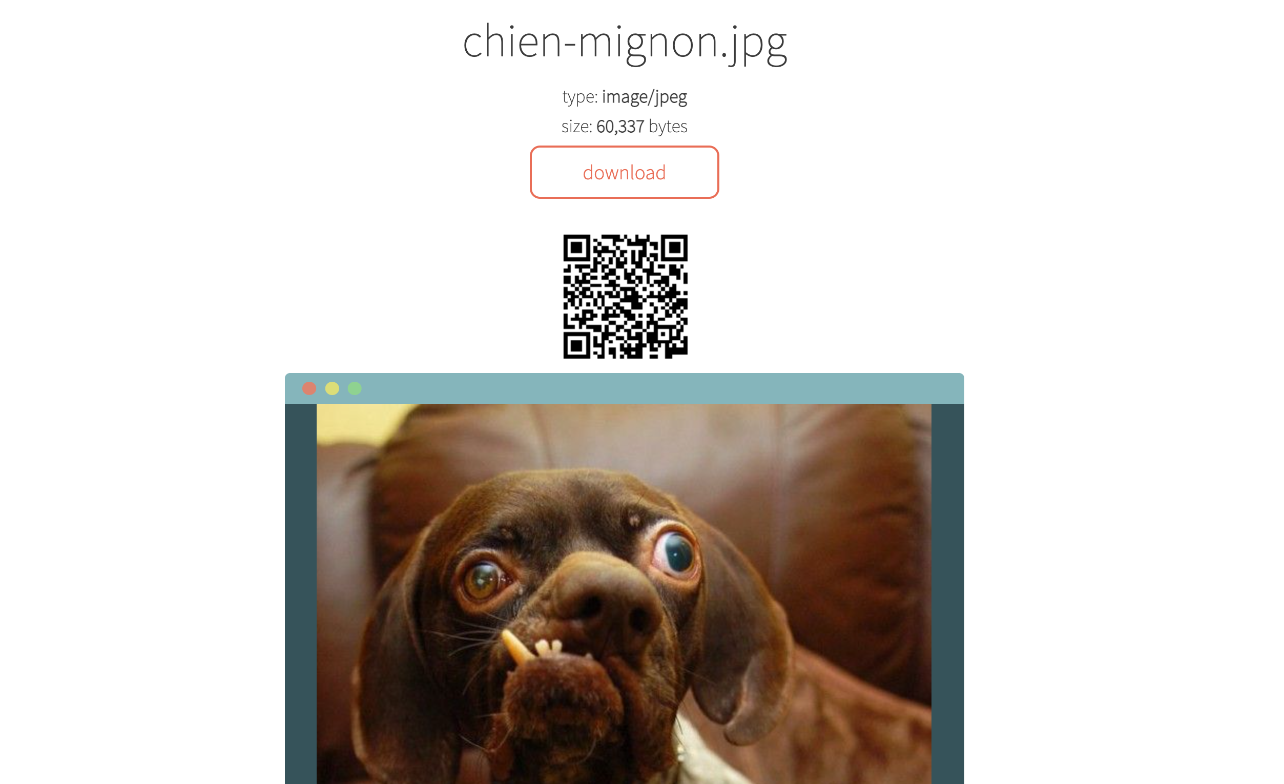 TRANSFER.SH - PARTAGER FACILEMENT DES FICHIERS EN QUELQUES SECONDES